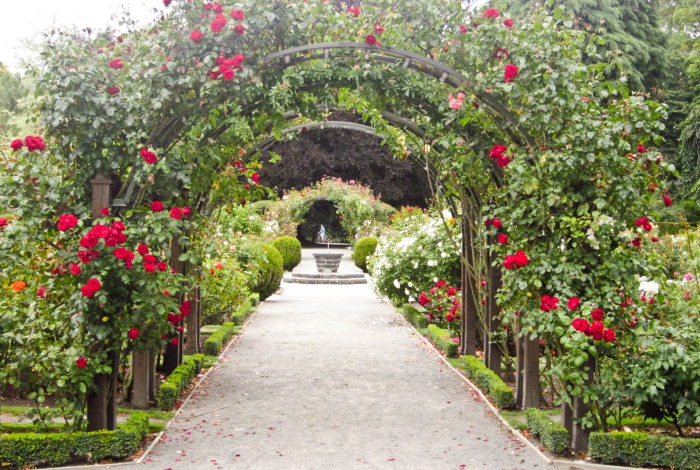 Christchurch Botanic Gardens