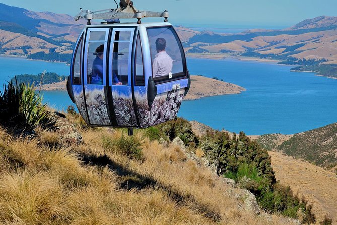 Christchurch Gondola